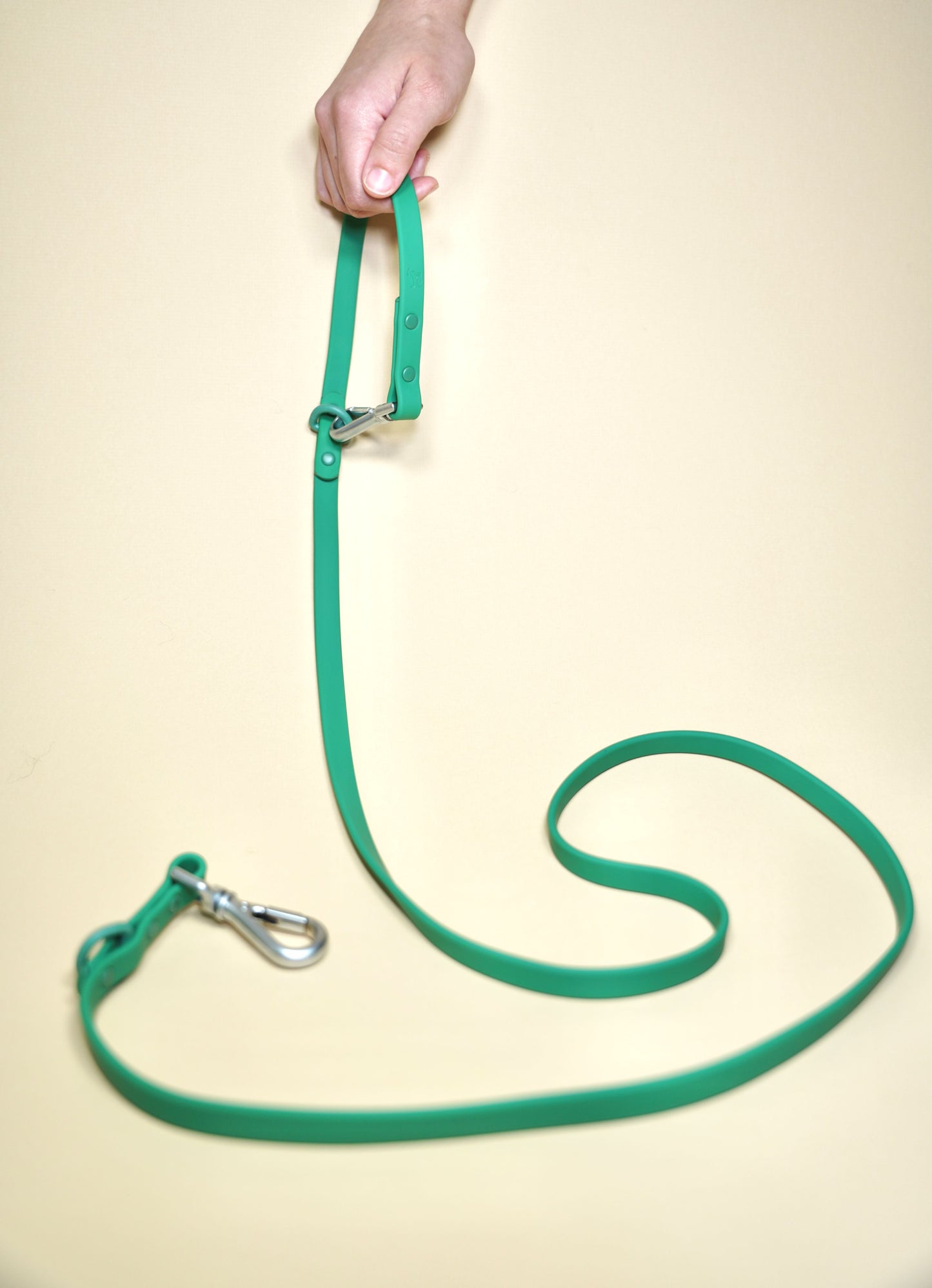 Leash