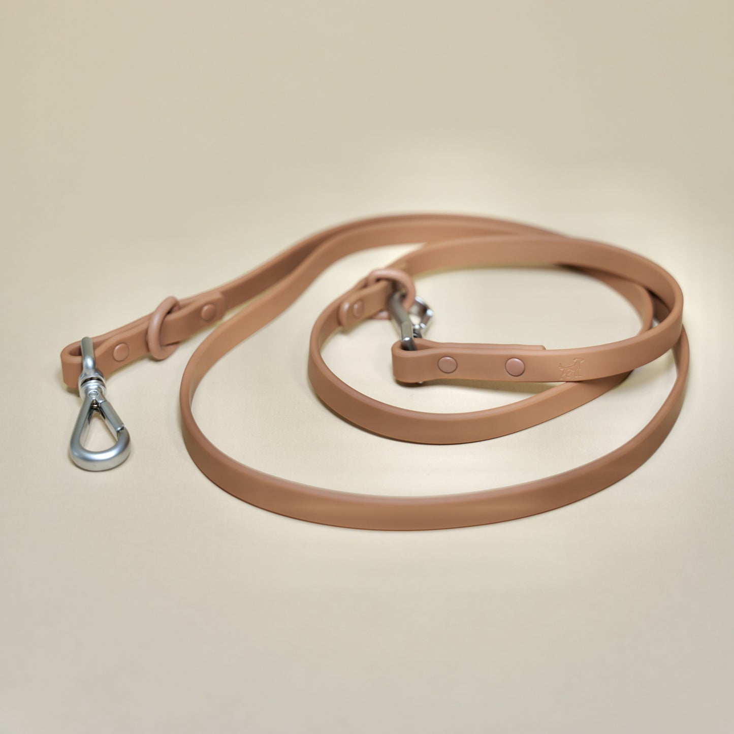 Leash