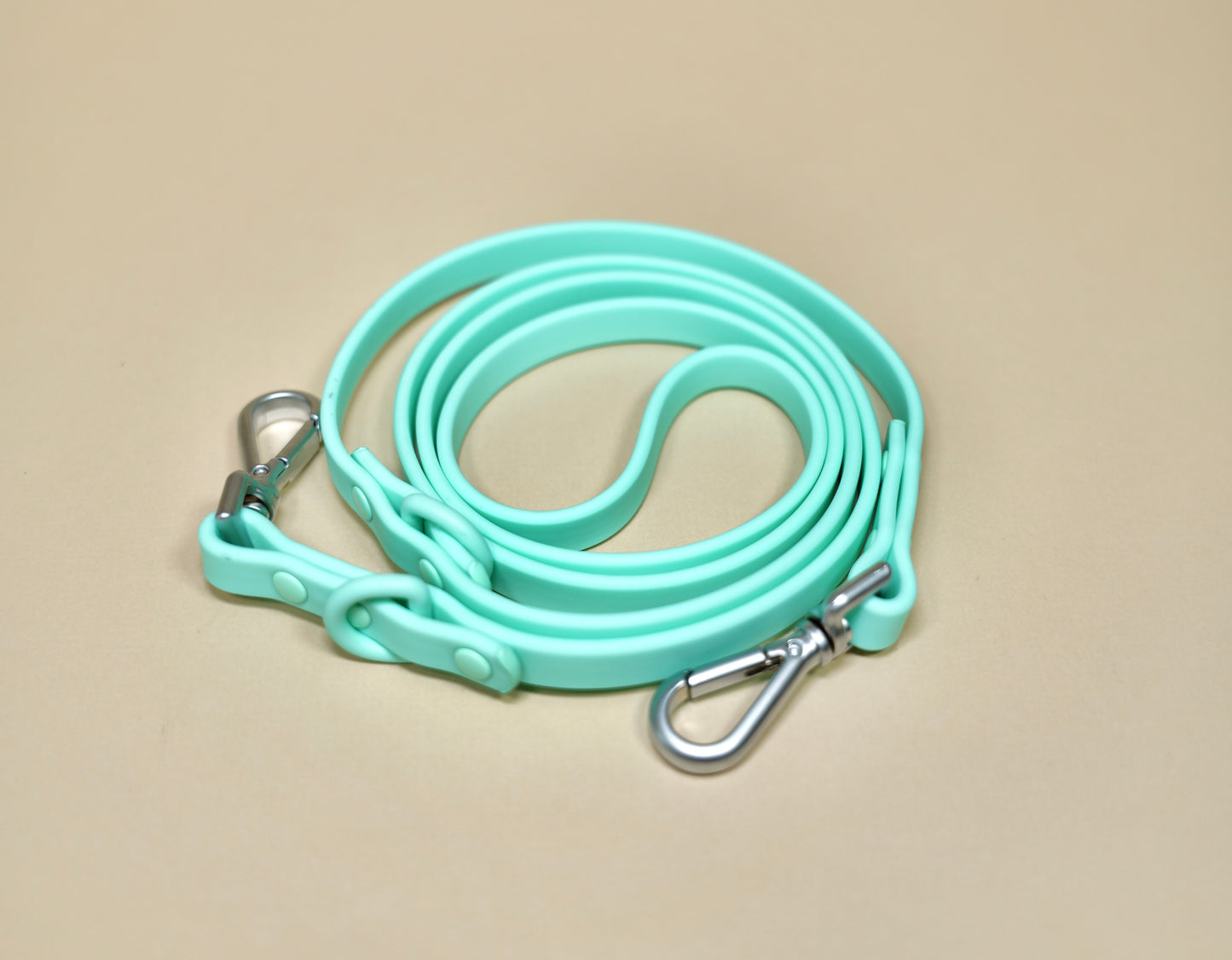 Leash