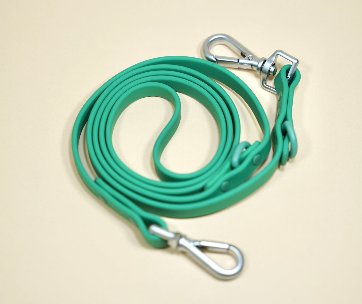 Leash