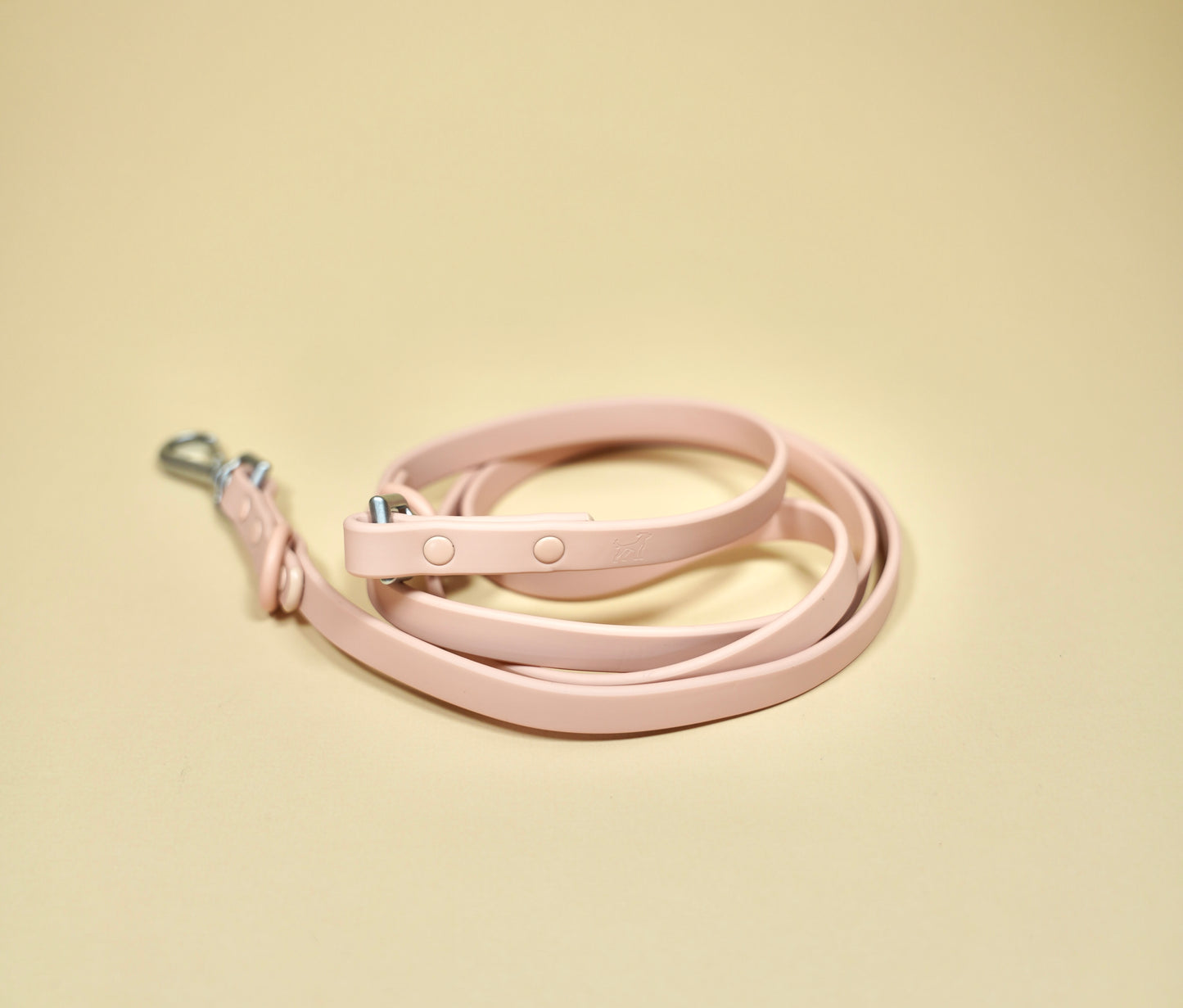 Leash