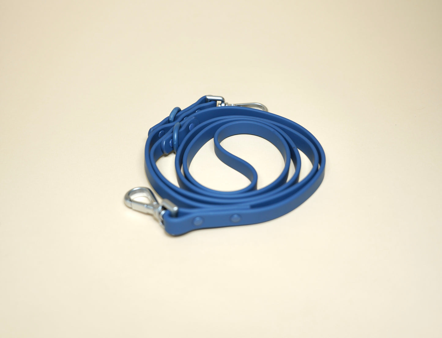 Leash