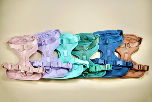 Adjustable Cushioned Dog Harness