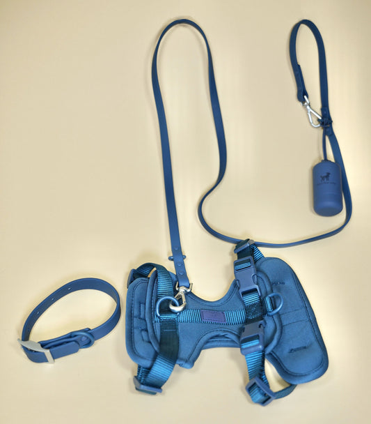 Walking Kit Bundle